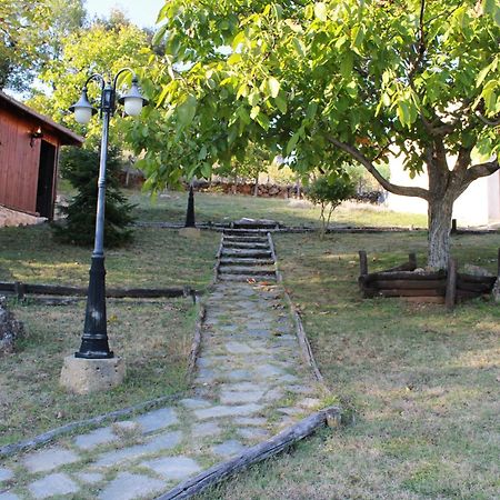 Dimitra'S Villas Elatochori Exteriör bild